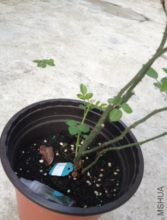 QQͼƬ20130828145655.jpg