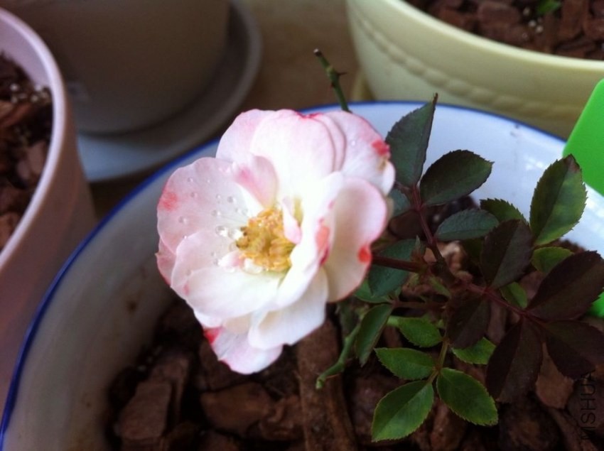 QQͼƬ20130828160813.jpg