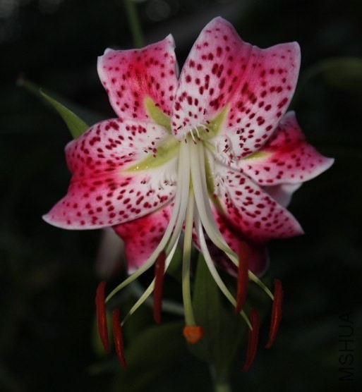 QQͼƬ20130828163426.jpg