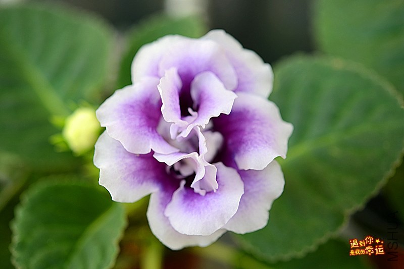 ��Ƭ 072_����.jpg