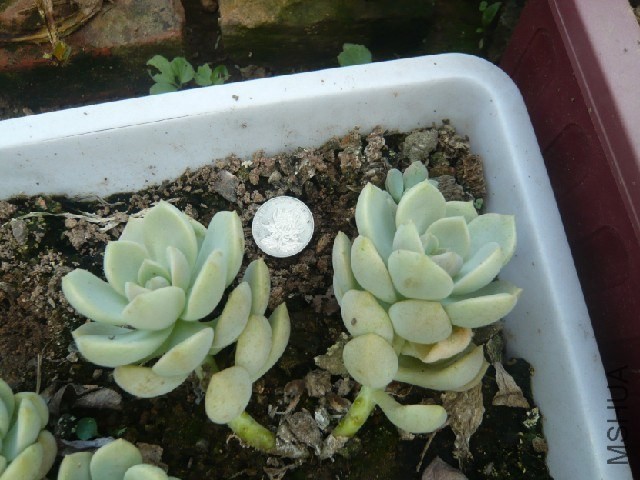 03]~45B)IMC9E1G{DYRSX9H.jpg