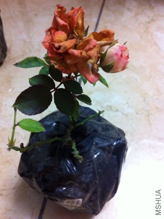 QQͼƬ20130828164439.jpg