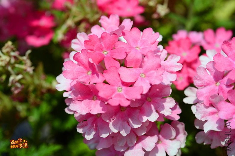 ��Ƭ 047_����.jpg