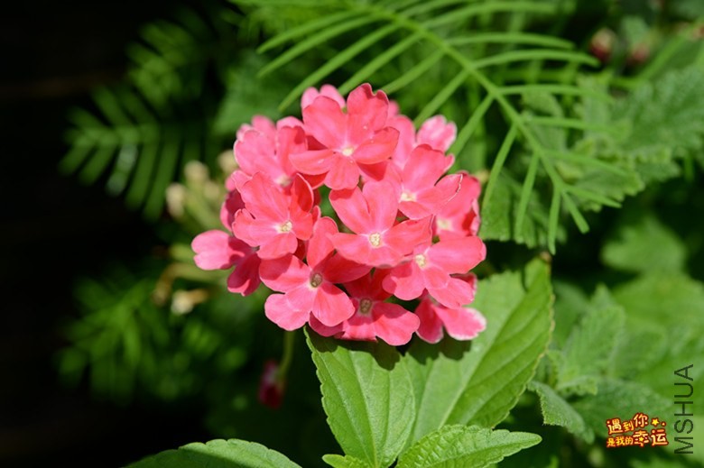 ��Ƭ 049_����.jpg