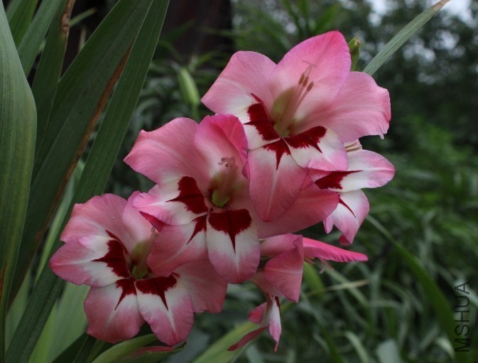QQͼƬ20130828165029.jpg