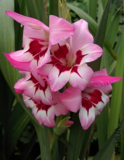 QQͼƬ20130828165842.jpg