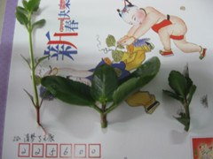 IMG_2071_����.jpg