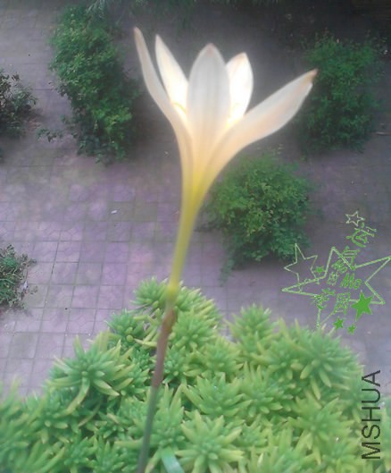 ������-01-��ˮӡ.jpg