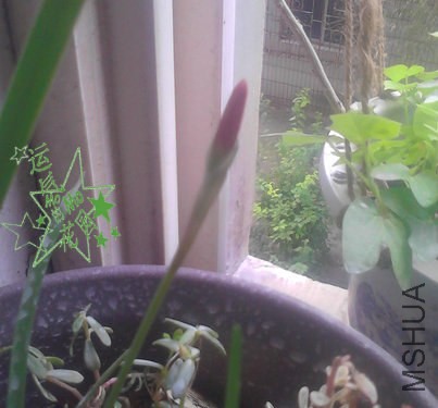 ������-03-��ˮӡ.jpg