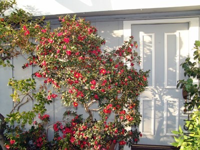 F-House Entrance-SS.jpg