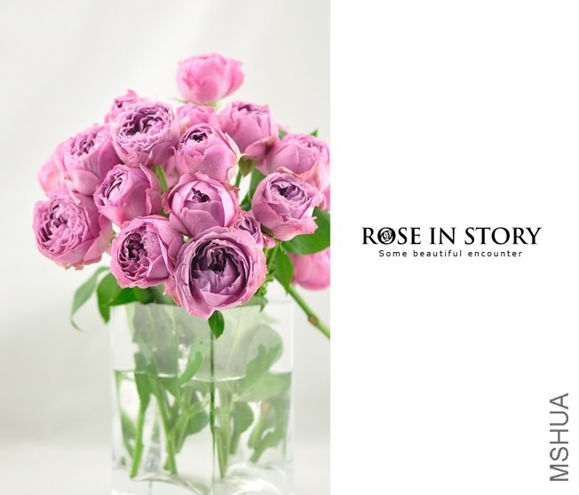 rose1.jpg
