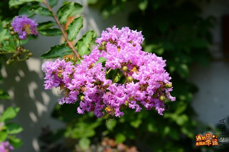 ��Ƭ 012_����.jpg