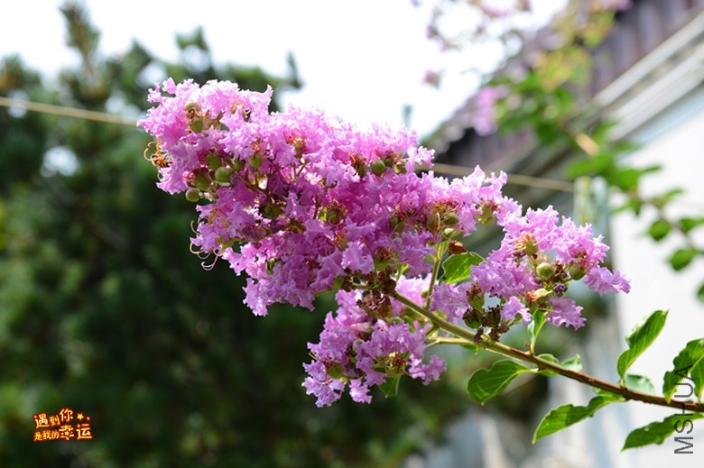 ��Ƭ 013_����.jpg