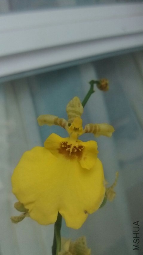 QQͼƬ20130829155549.jpg