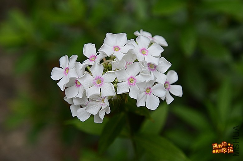 ��Ƭ 014_����.jpg