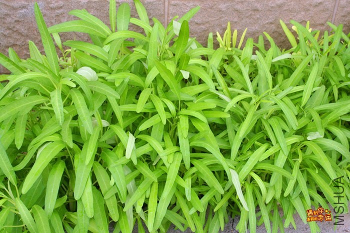 ��Ƭ 226_����.jpg