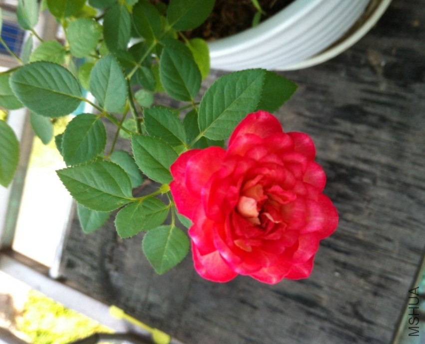 QQͼƬ20130829172830.jpg