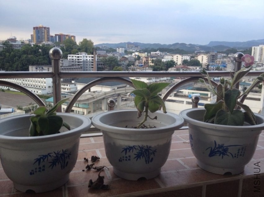 QQͼƬ20130830100229.jpg