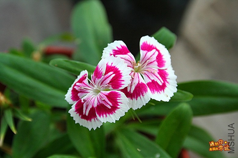 ��Ƭ 094_����.jpg