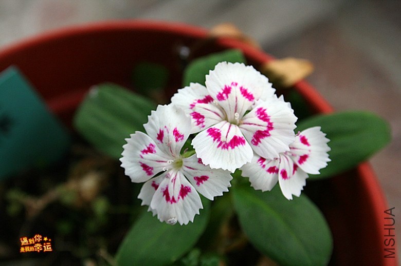 ��Ƭ 097_����.jpg