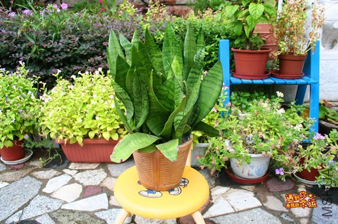 ��Ƭ 131_����.jpg