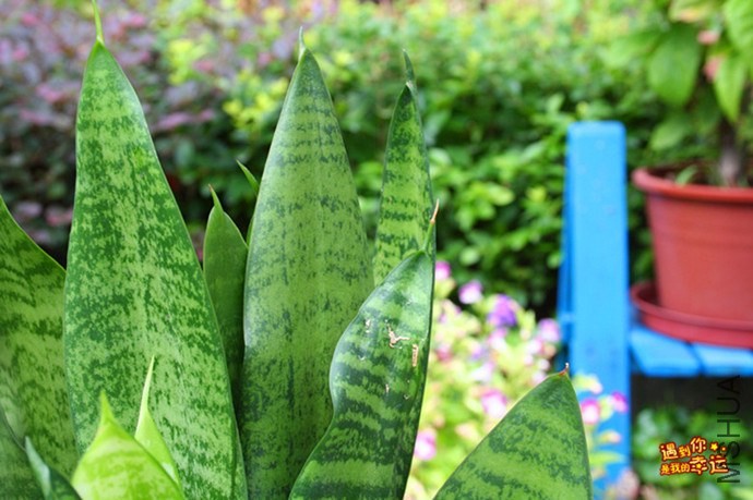 ��Ƭ 133_����.jpg