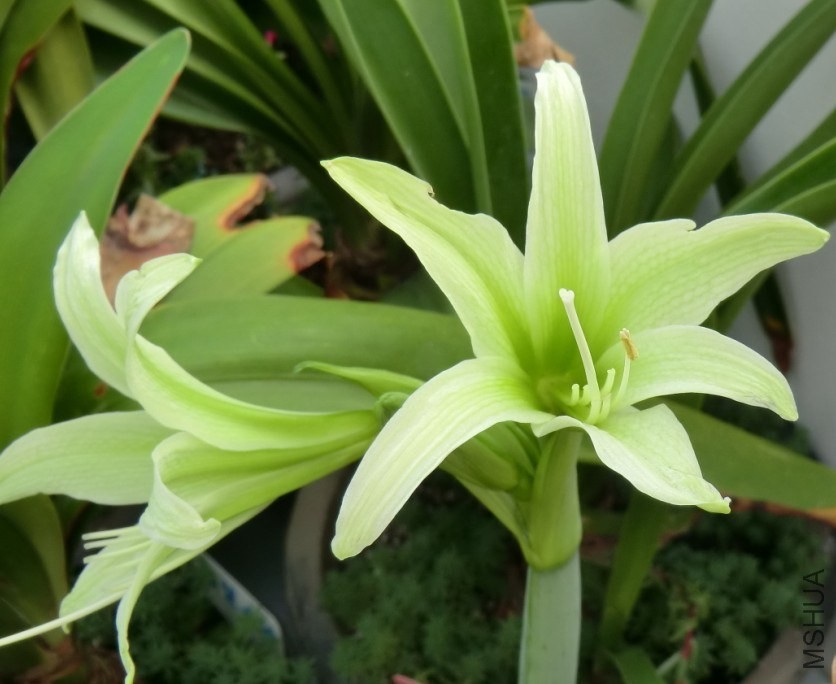 QQͼƬ20130827075107.jpg