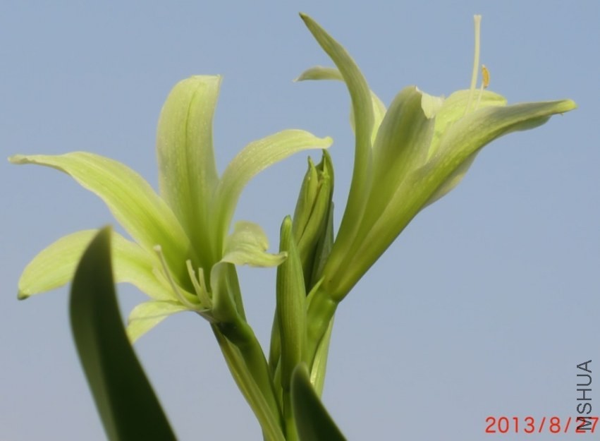 QQͼƬ20130827075041.jpg