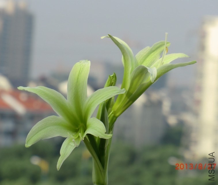 QQͼƬ20130827075002.jpg