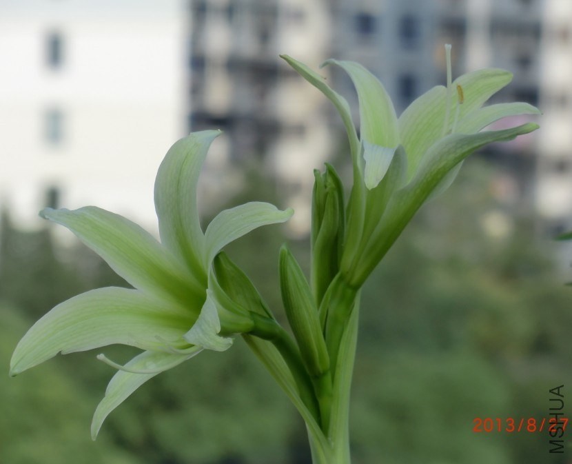 QQͼƬ20130827074919.jpg