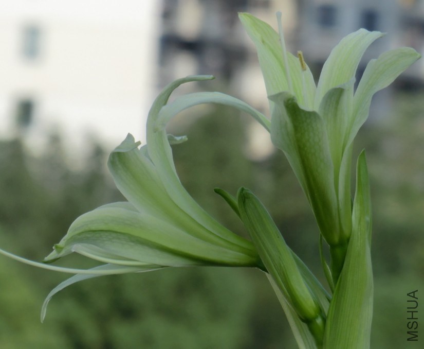 QQͼƬ20130827074853.jpg