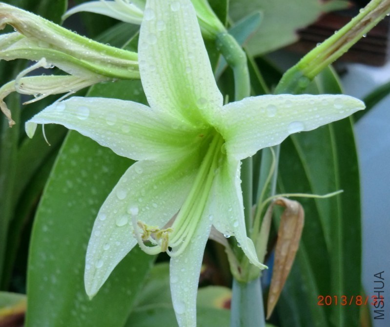 QQͼƬ20130831121239.jpg