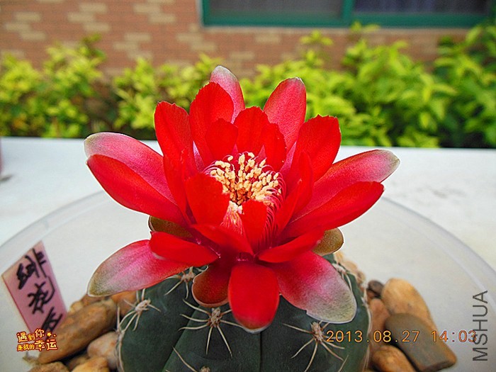 ��Ƭ 253_����.jpg