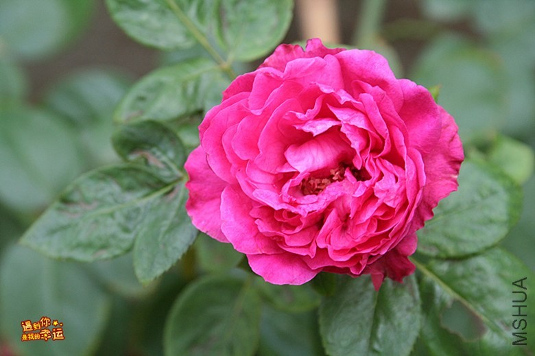 ��Ƭ 246_����.jpg