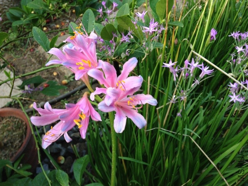 ������20130831 006.JPG