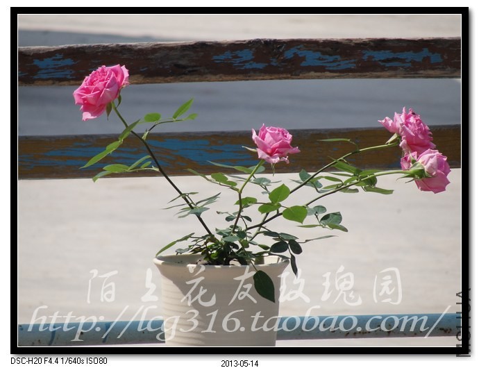 nEO_IMG_DSC04692.jpg
