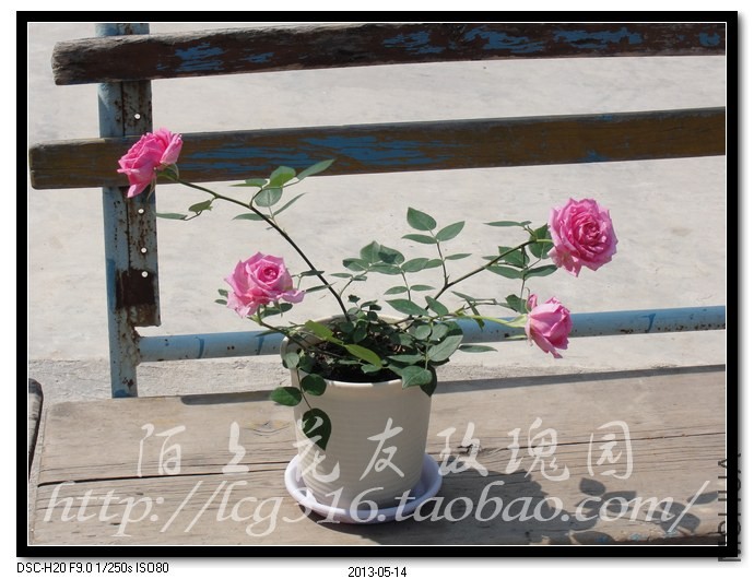 nEO_IMG_DSC04700.jpg