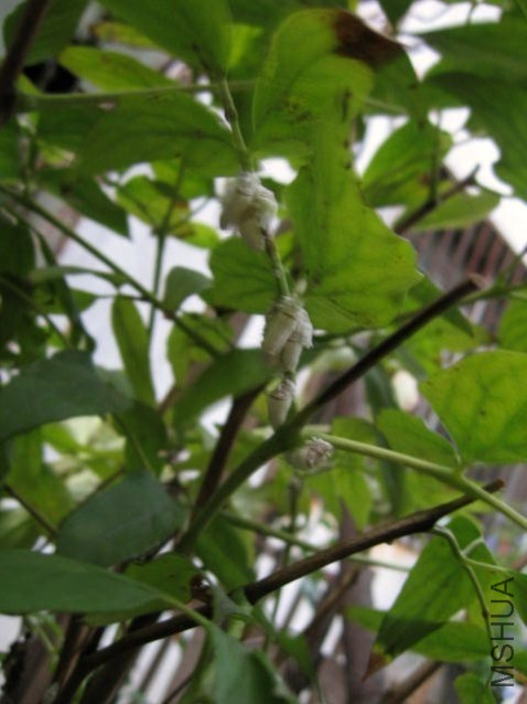 2013.8.31 001.JPG
