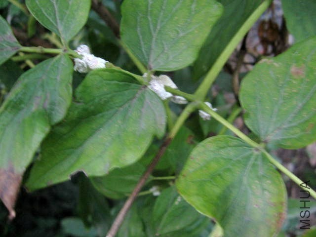 2013.8.31 017.JPG