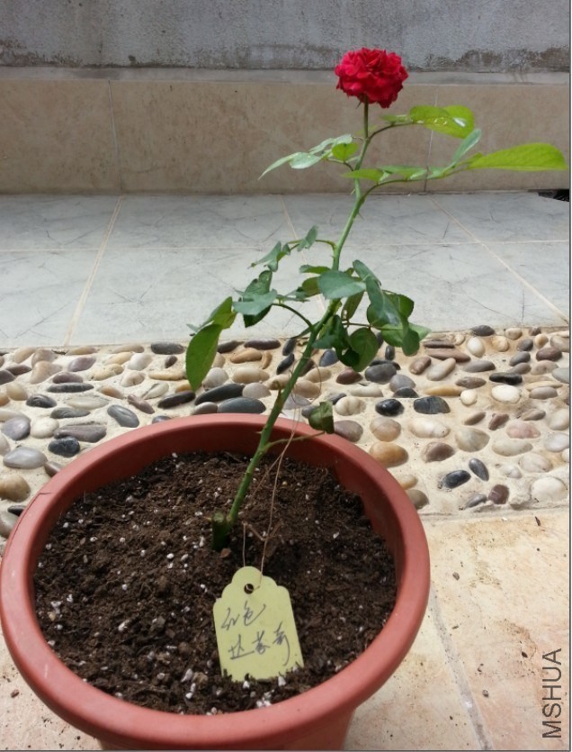 �µ��Ĵ����¼�.jpg