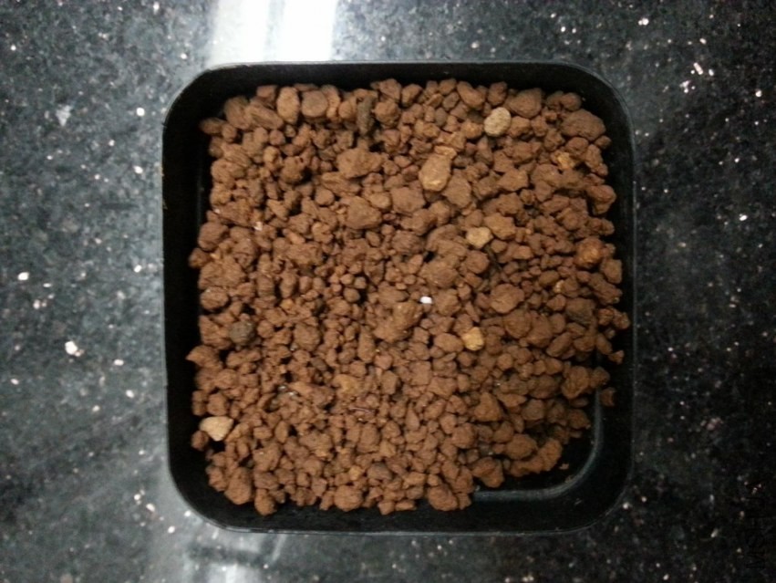 20130606_120422-n.jpg