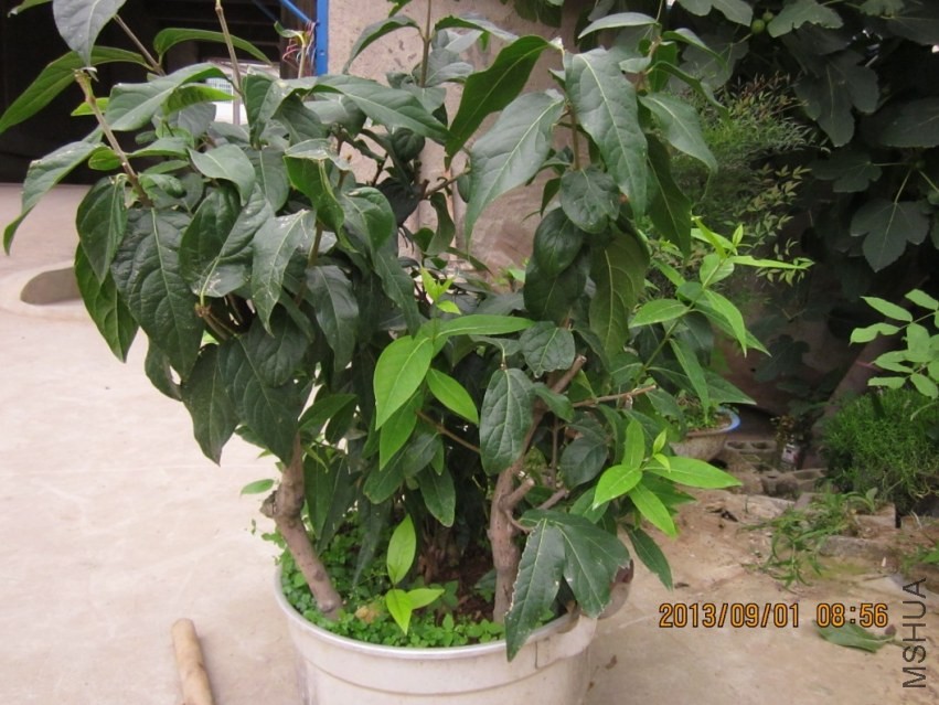 QQͼƬ20130901085444.jpg