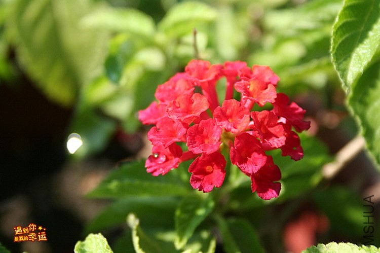 ��Ƭ 031_����.jpg