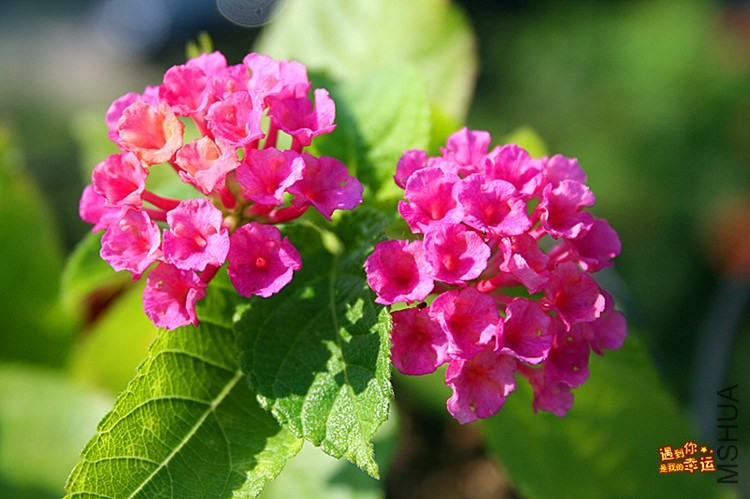 ��Ƭ 033_����.jpg