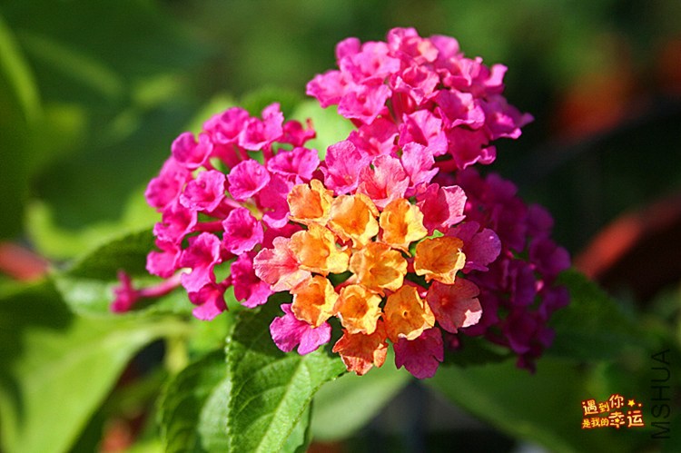 ��Ƭ 035_����.jpg