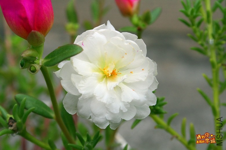 ��Ƭ 033_����.jpg