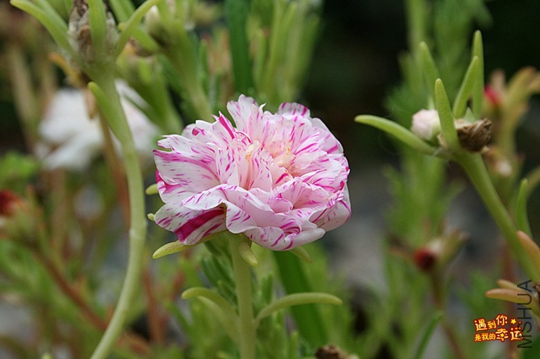 ��Ƭ 034_����.jpg