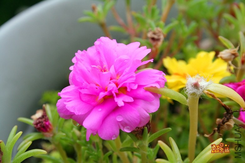 ��Ƭ 035_����.jpg