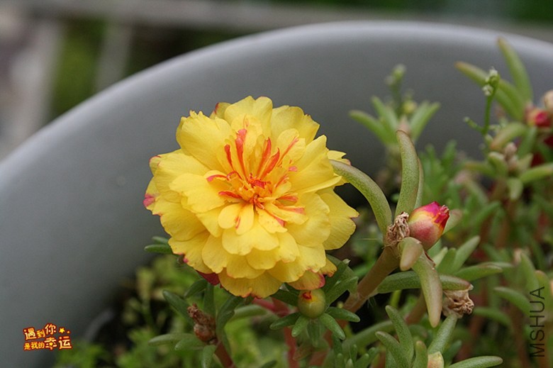 ��Ƭ 036_����.jpg