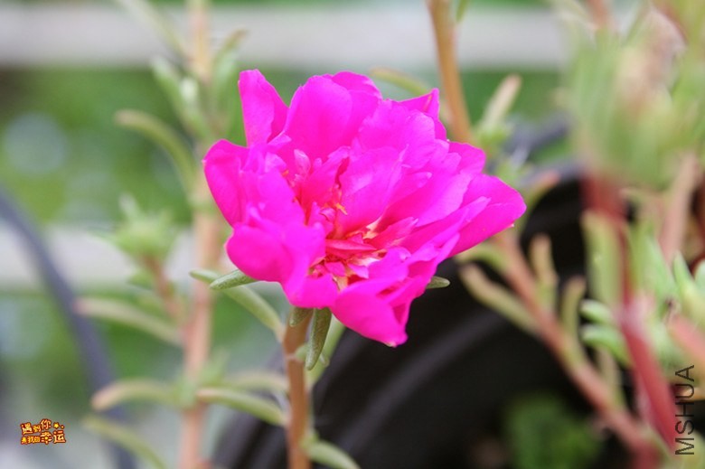 ��Ƭ 037_����.jpg